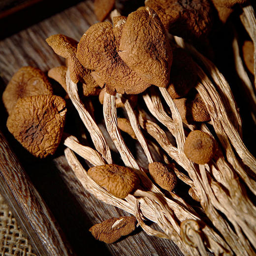 【吉顺号食品】云南特产茶树菇新鲜蘑菇烘干茶树菇200g 商品图4