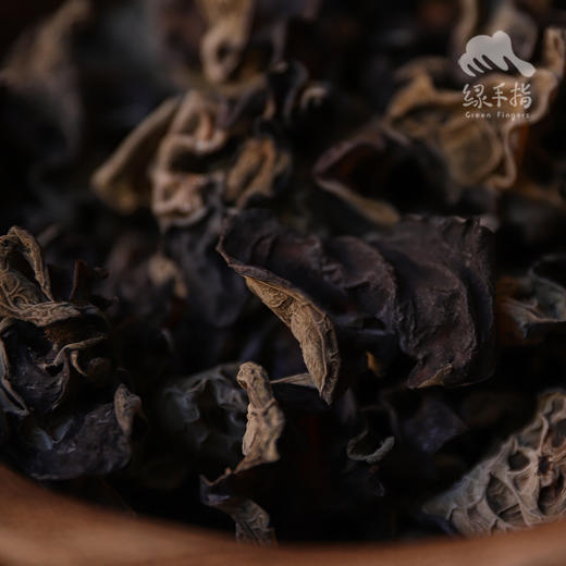 野生木耳 | 合作生产* Wild-Fungus | Coproducted 商品图1