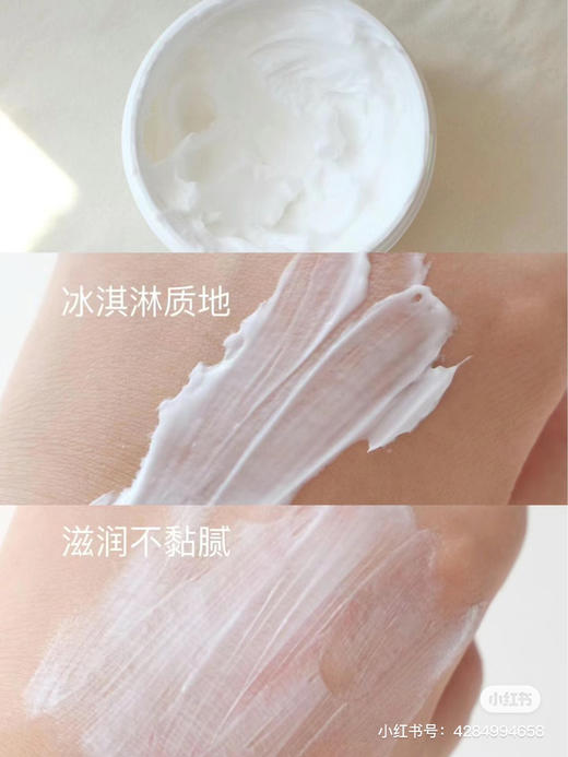 雅顿白茶身体乳 商品图3