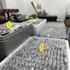 【甜久荟 伴手礼~10个巧克力布朗尼】包装会根据季节变换 巧克力控最爱！男士最爱！巧克力榛子外壳包裹着布朗尼蛋糕  常温或冷藏保存食用 冷冻保存一个月 米其林餐厅选用72%可可 益身体 佳配咖啡 茶酒 商品缩略图3