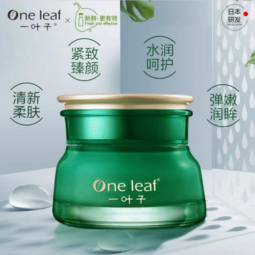 一叶子眼霜紧致修护眼霜 送赋颜紧致面膜一盒 （抗皱淡化黑眼圈眼袋去细纹补水保湿提拉紧致） 商品图2