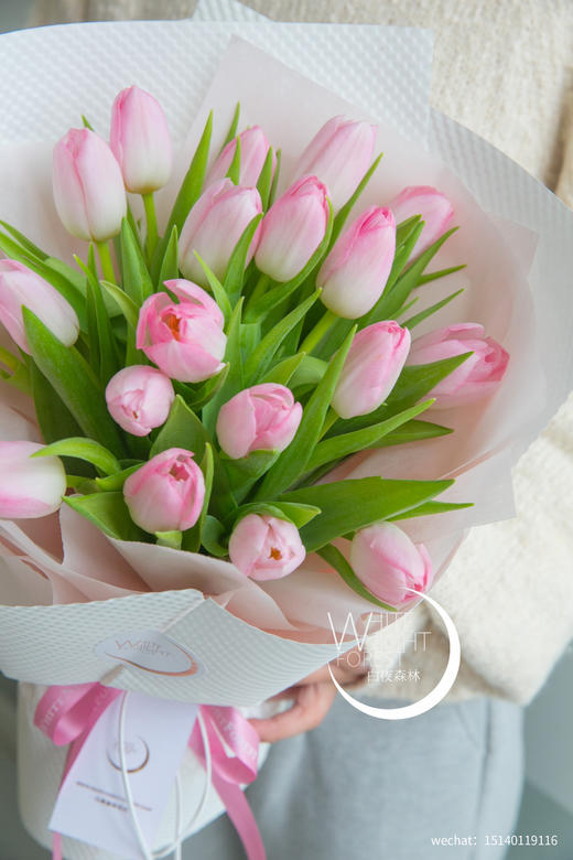 荷兰进口王朝粉郁金香花束 商品图4