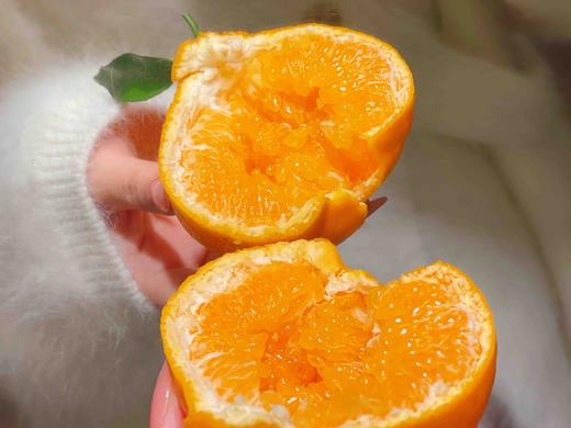 白富美春见耙耙柑🍊早期带酸，味道浓郁 商品图0