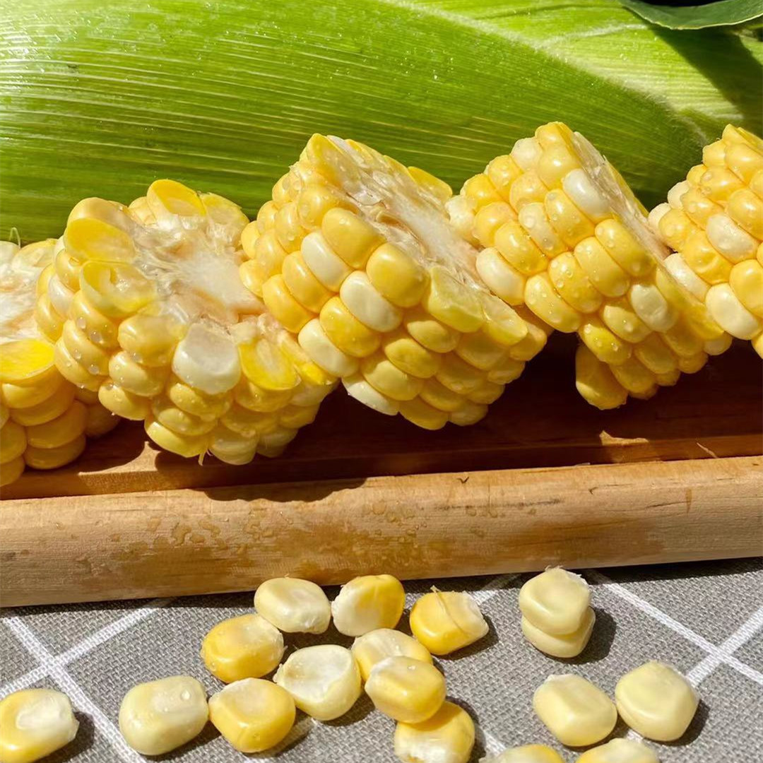 脆嫩可生食 | 云南金银水果玉米 生鲜玉米早餐轻食 饱腹健康粗粮减脂好帮手 3斤/5斤