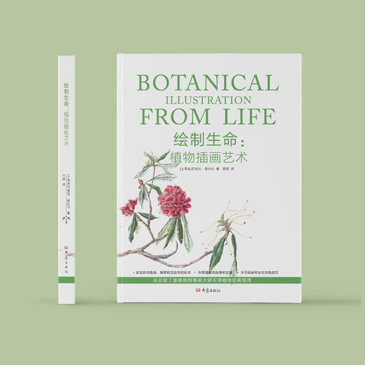 《绘制生命：植物插画艺术》 商品图1