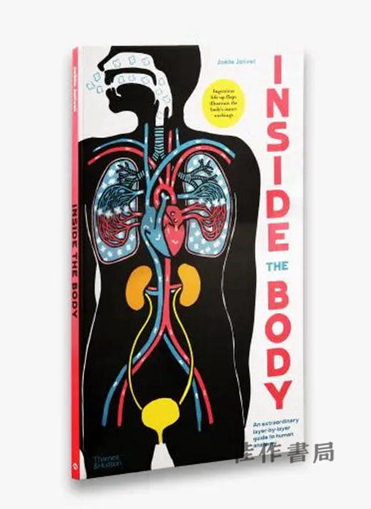 Inside the Body An extraordinary layer-by-layer guide to human anatomy / 《身体内部》一本非凡的人体解剖学逐层指南 商品图1