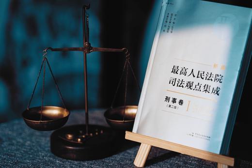 《新编最高人民法院司法观点集成·刑事卷》（第二版） 商品图7
