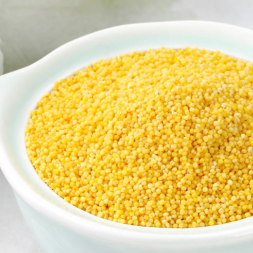 🔥必囤粗粮东北当季新米！黄小米、黑米5斤真空装新鲜香糯、厚厚米油，口感极佳，软糯香醇，养胃首选❗️黄小米米粥、东北黑米 商品图2