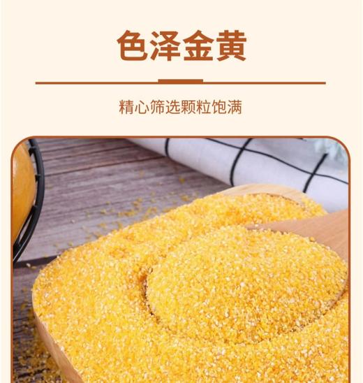 新疆五谷潮玉米糁460g 非转基因 木垒产地 色泽金黄新疆美食特产 商品图1