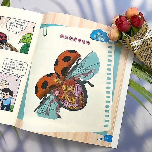 奇妙昆虫记（全4册） 青少年小学生版大字彩图科普漫画书6-10-14岁儿童幼儿多种类昆虫知识课外阅读必阅读书籍 商品图2