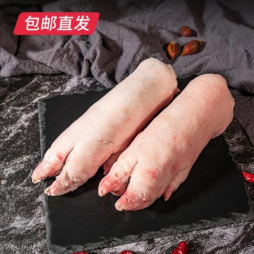 伊春森林猪 猪蹄 1000g（2个）【包邮直发】 商品图1