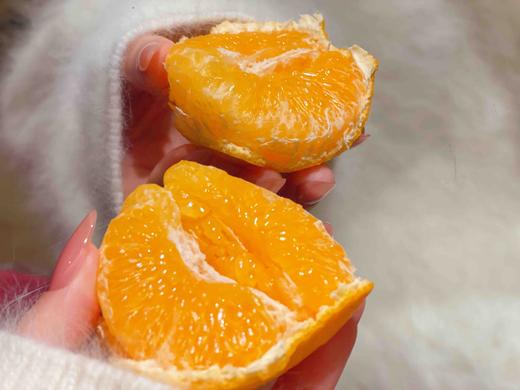 白富美春见耙耙柑🍊早期带酸，味道浓郁 商品图3