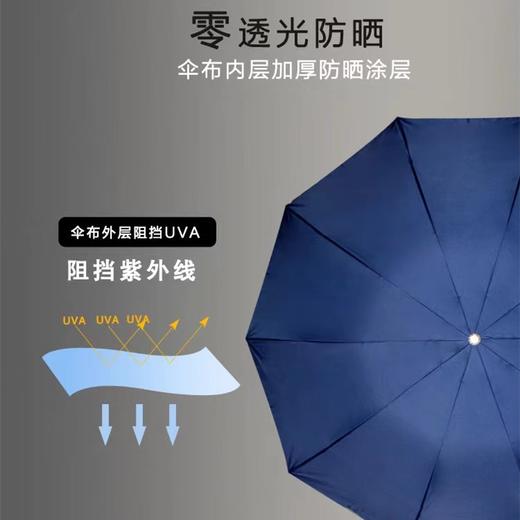 天堂伞3910强力拒水防紫外线防晒遮阳加大十骨睛雨伞银胶三折伞1把 商品图2
