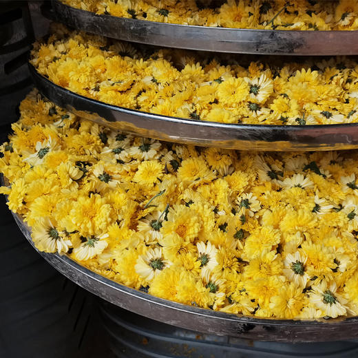 有机怀菊花2瓶（30克/瓶） 商品图6