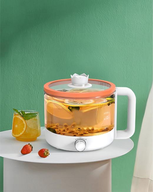 World Kitchen康宁WK-DG2006/KZ玻璃养生锅可拆卸式盖密封圈礼品 商品图1