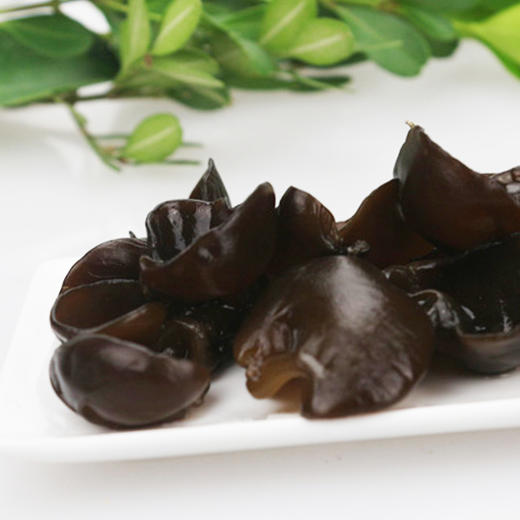 福建古田黑木耳南北干货山珍火锅食材配菜凉拌250gx2袋 商品图3