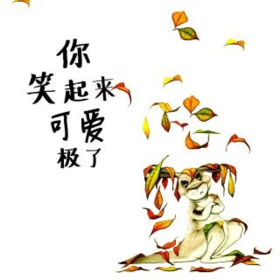 你笑起来可爱极了