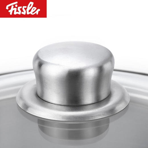 菲仕乐（Fissler）EM0511120000-G Fissler菲仕乐和风系列20厘米双耳汤锅带玻璃盖 商品图3