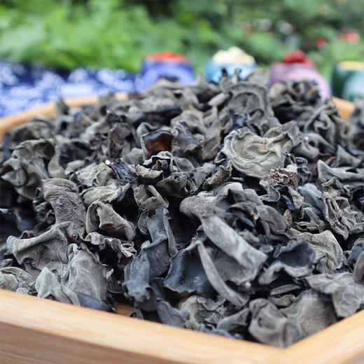 福建古田黑木耳南北干货山珍火锅食材配菜凉拌250gx2袋 商品图0