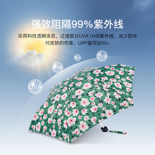 英国 FULTON富尔顿Country Garden 三折/五折遮阳伞 8款可选 晴雨两用防晒伞 商品图5