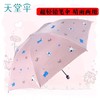 天堂伞黑胶防晒遮太阳伞女折叠超轻小巧晴雨伞两用小清新三折晴雨伞1把33791E 商品缩略图0