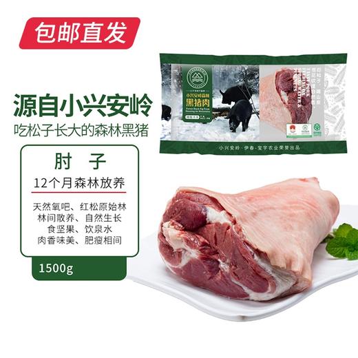 伊春森林猪 肘子 1500g（1个）【包邮直发】 商品图0