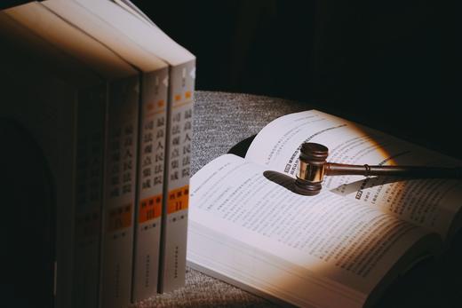 《新编最高人民法院司法观点集成·刑事卷》（第二版） 商品图3