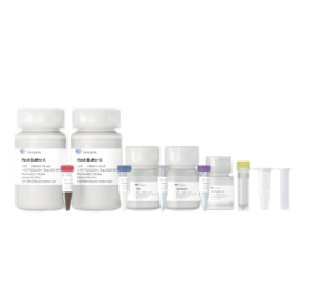 VAMNE Magnetic Pathogen DNA/RNA Kit