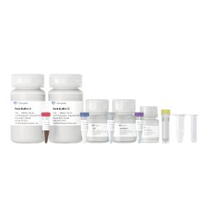 VAMNE Magnetic Pathogen DNA/RNA Kit 商品图0