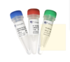 Phanta Uc Super-Fidelity DNA Polymerase for Library Amplification 商品缩略图0