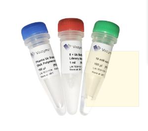 Phanta Uc Super-Fidelity DNA Polymerase for Library Amplification 商品图0