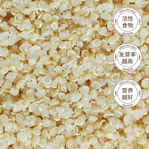 雁门清高白藜麦米400g*2山西忻州静乐黎麦五谷杂粮 商品图4