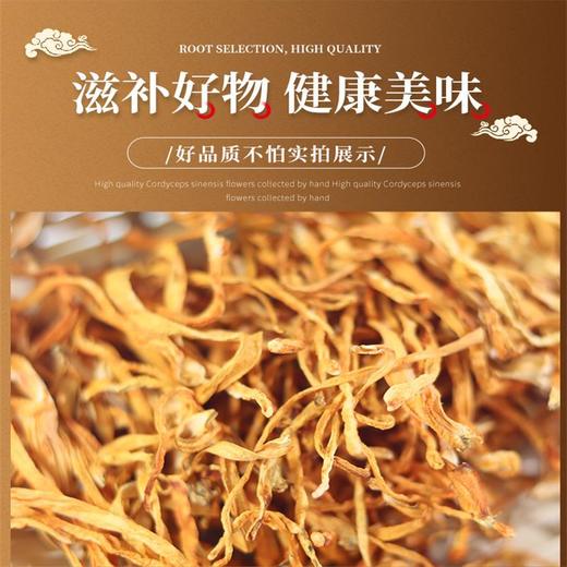 福建古田虫草花干货新鲜无硫蛹虫草200gx2袋 商品图3
