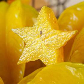 【果蔬精选】漳州树上熟杨桃 形似星星 鲜甜爽嫩 一咬爆汁 90%以上都是水的星星果 俘虏你整个味蕾 赠送酸梅粉