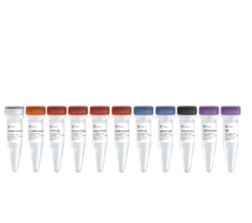 TruePrep RNA Library Prep Kit for Illumina