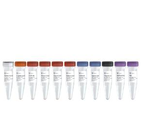 TruePrep RNA Library Prep Kit for Illumina 商品图0