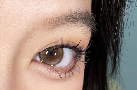 papadox 美瞳半年抛 花生露 直径14.5mm着色13.8mm 商品图12