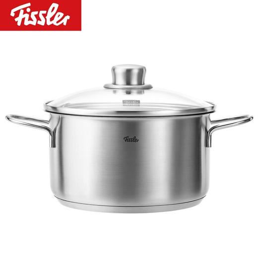 菲仕乐（Fissler）EM0511120000-G Fissler菲仕乐和风系列20厘米双耳汤锅带玻璃盖 商品图8