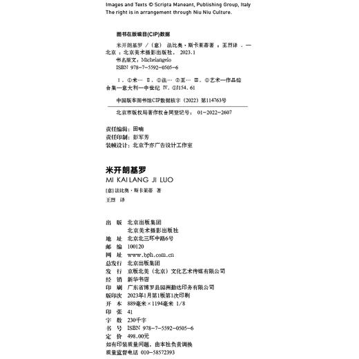 米开朗基罗 商品图2