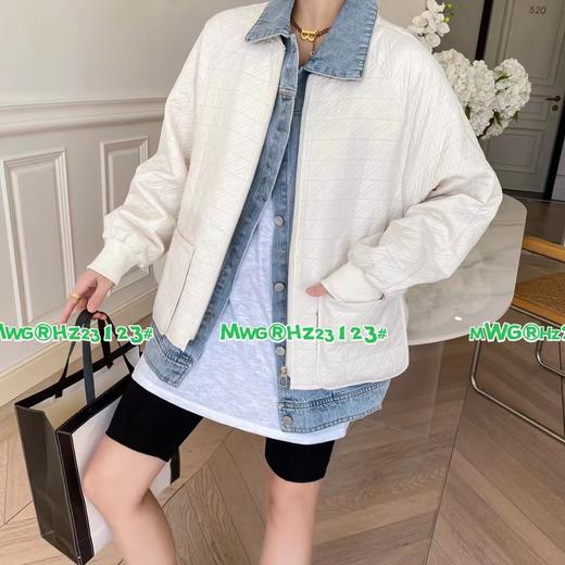 05460977 ：010604021米薇格 商品图0