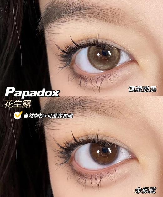papadox 美瞳半年抛 花生露 直径14.5mm着色13.8mm 商品图11
