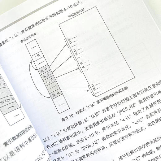 自然语言结构计算 BCC语料库 AI人工智能自然语言处理语料库交互式检索引 编程语言信息交互网络技术计算机科学 商品图3
