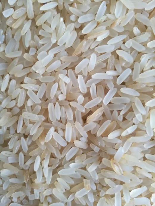 四川眉山传统火米5斤（生态老品种黄谷制作）【产地直发】@骑龙村 商品图0