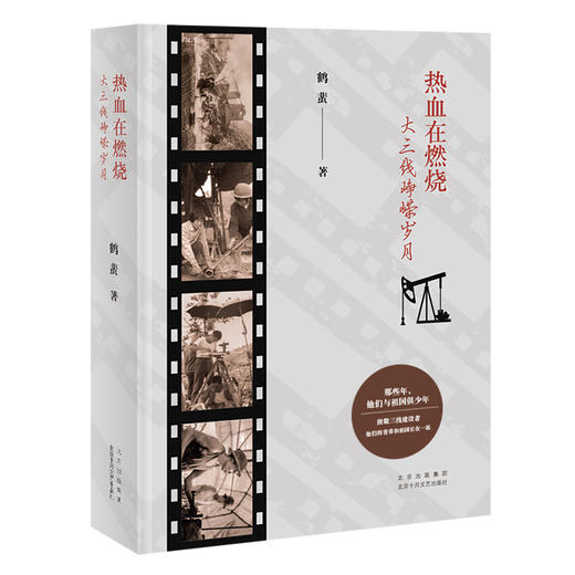 热血在燃烧——大三线峥嵘岁月 商品图2