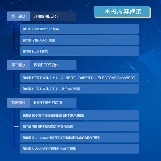 预售 预计2月末发货 BERT基础教程：Transformer大模型实战 商品图4