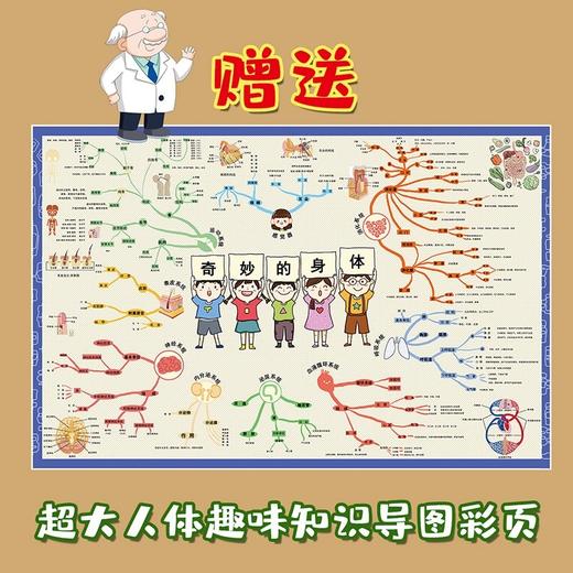 全4册身体运转的秘密 6-14岁儿童一定要读的人体漫画书小学生揭秘人体百科全书科学院博士写给孩子的科普书 我们的身体儿童故事书 商品图4