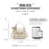 Safiya/索菲娅 2022新款百搭格纹高级单肩包包女斜挎包手提女包SF900155Y 商品缩略图6