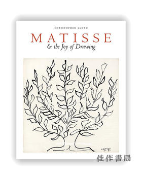 Matisse and the Joy of Drawing / 马蒂斯与绘画的乐趣