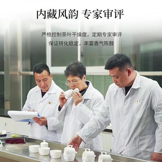 白茶 | 2023年绿雪芽6年陈韵白牡丹寿眉老白茶金砖礼盒装288G 商品图3