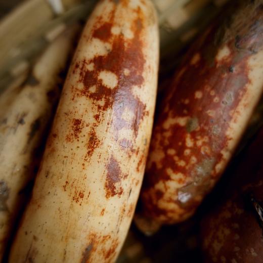 湖北生态脆藕 3斤 | 合作农友生产，来自湖北武汉，生产者：杨景勇 *【公平贸易农人定价】 商品图4